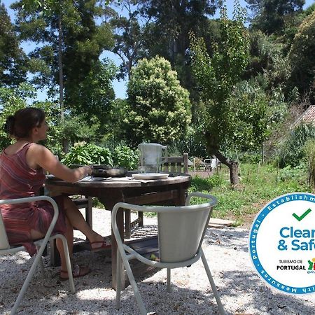 شقة Ribeira Dos Marinheiros Azul سينترا المظهر الخارجي الصورة