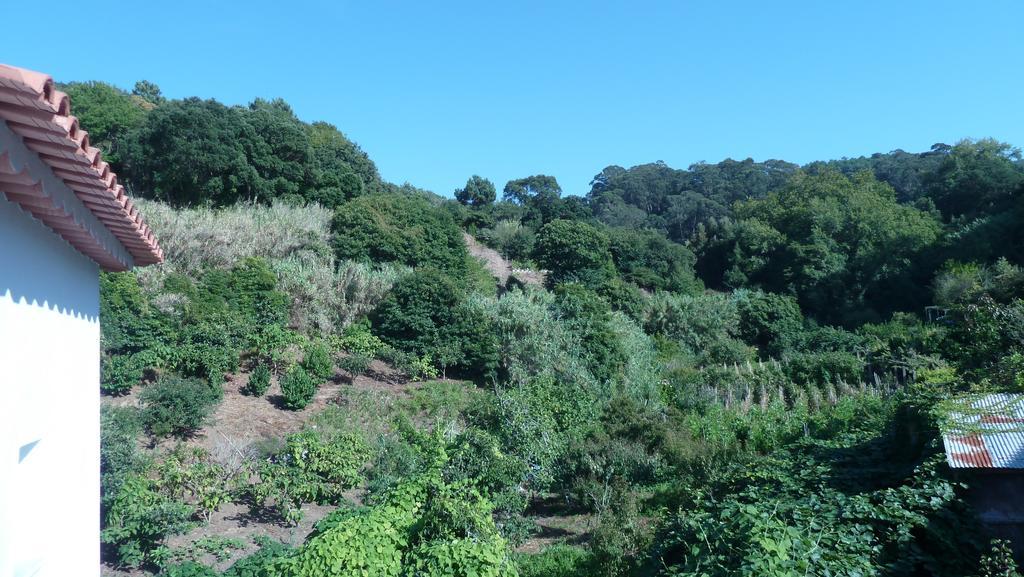 شقة Ribeira Dos Marinheiros Azul سينترا المظهر الخارجي الصورة
